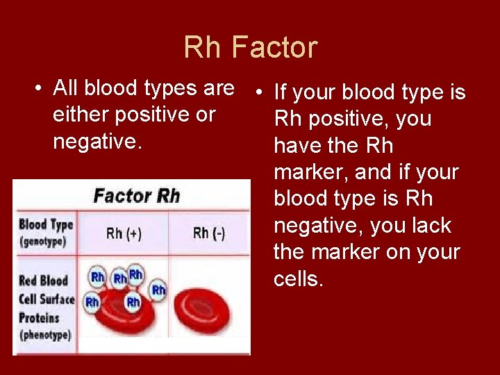 Rh Factor • All blood types are • If your blood type is either