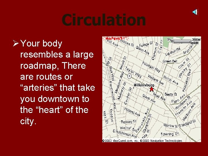 Circulation Ø Your body resembles a large roadmap, There are routes or “arteries” that