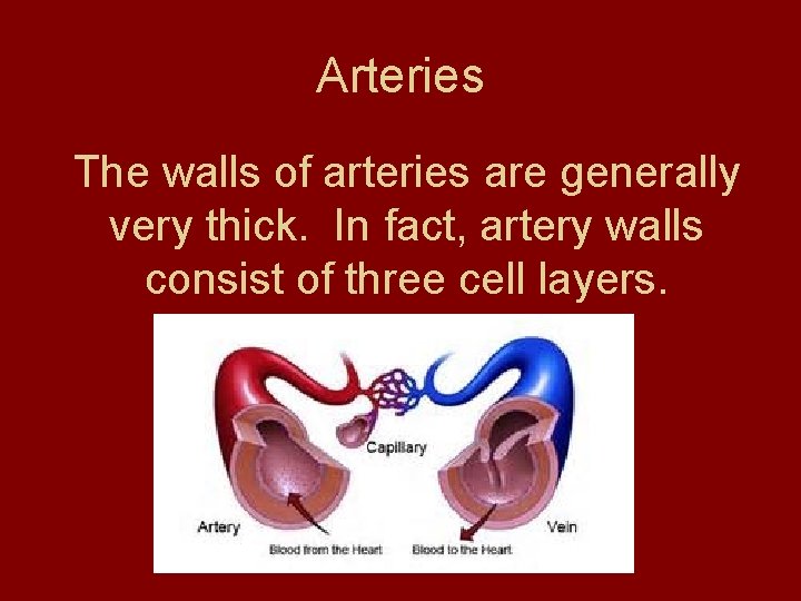 Arteries The walls of arteries are generally very thick. In fact, artery walls consist