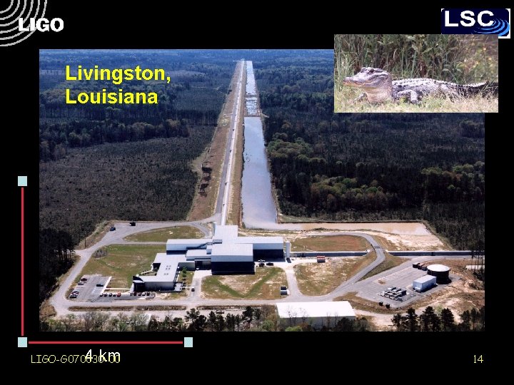 Livingston, Louisiana 4 km LIGO-G 070030 -00 14 