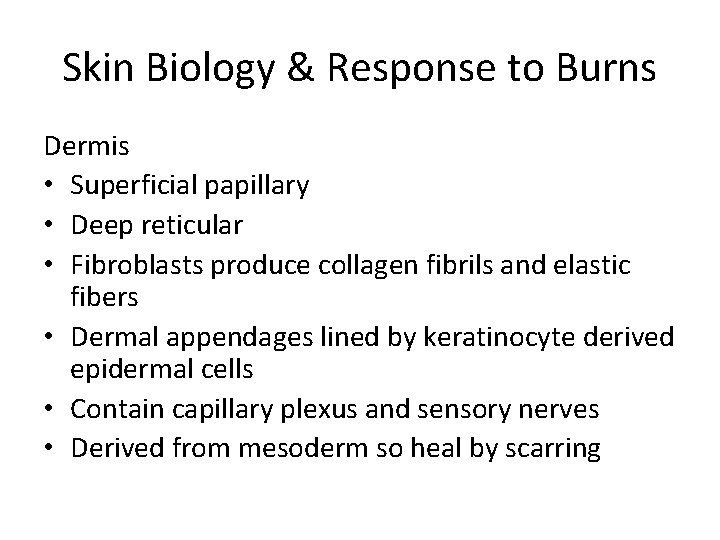 Skin Biology & Response to Burns Dermis • Superficial papillary • Deep reticular •