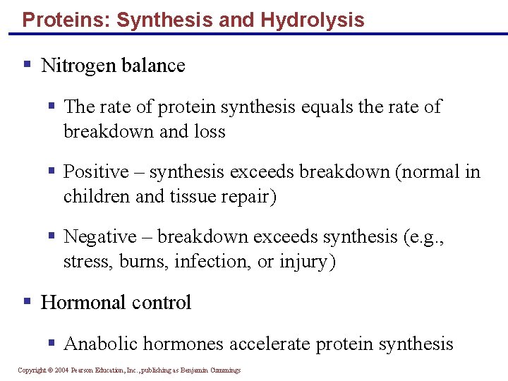 Proteins: Synthesis and Hydrolysis § Nitrogen balance § The rate of protein synthesis equals