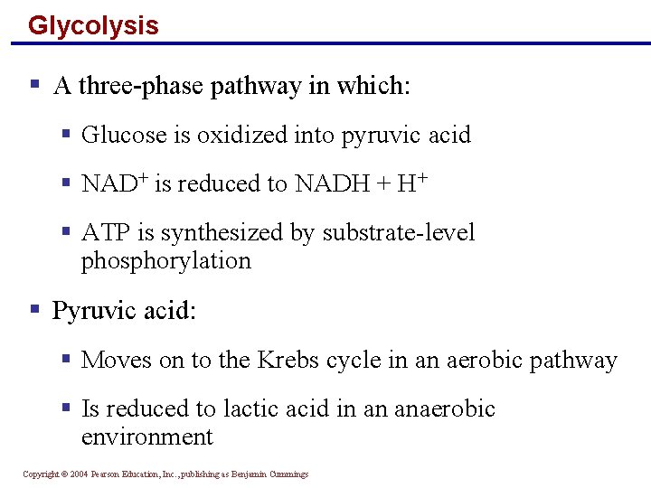 Glycolysis § A three-phase pathway in which: § Glucose is oxidized into pyruvic acid