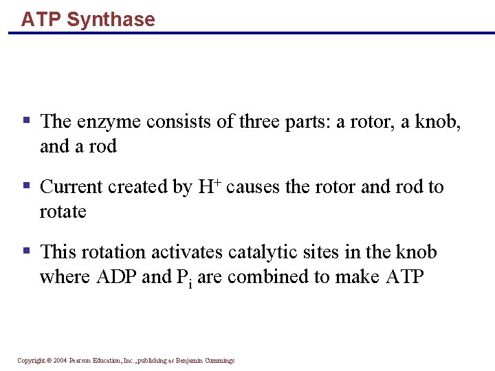 ATP Synthase § The enzyme consists of three parts: a rotor, a knob, and