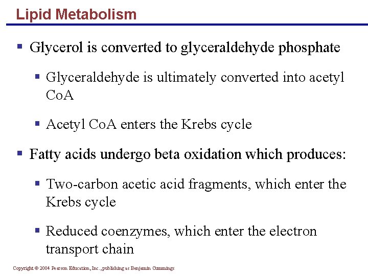 Lipid Metabolism § Glycerol is converted to glyceraldehyde phosphate § Glyceraldehyde is ultimately converted