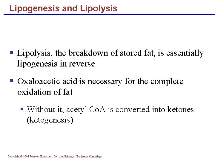 Lipogenesis and Lipolysis § Lipolysis, the breakdown of stored fat, is essentially lipogenesis in