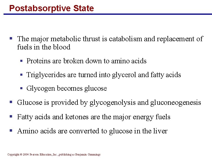 Postabsorptive State § The major metabolic thrust is catabolism and replacement of fuels in