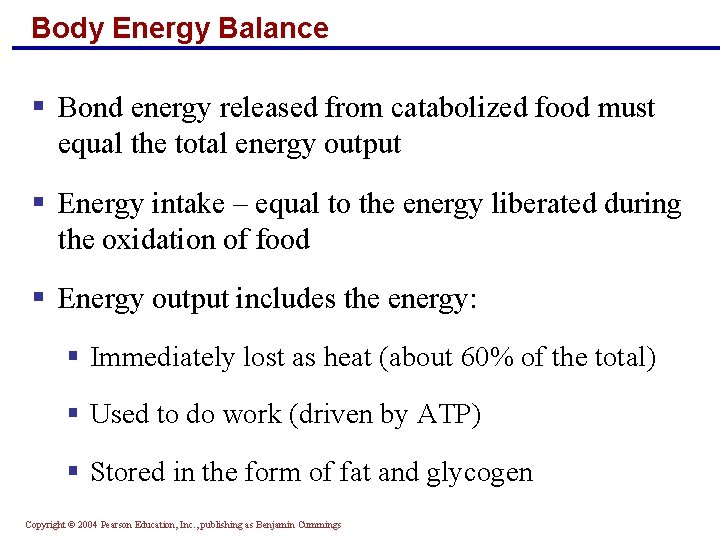Body Energy Balance § Bond energy released from catabolized food must equal the total