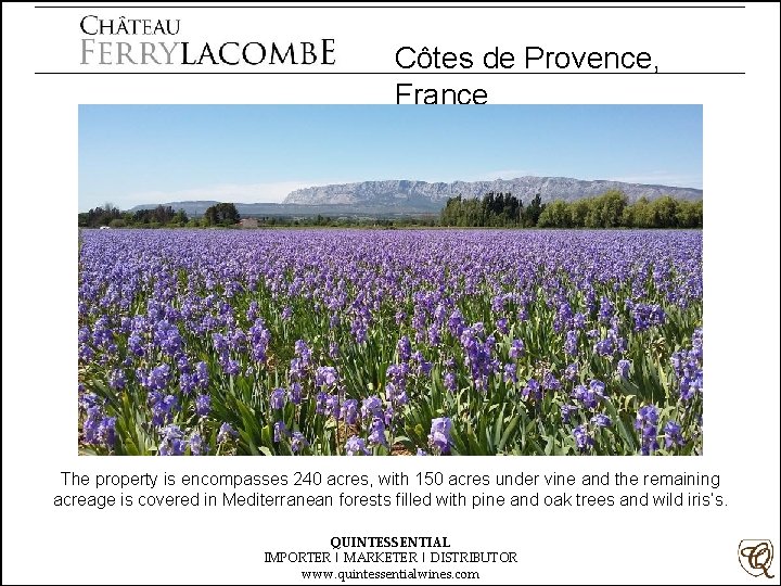 Côtes de Provence, France The property is encompasses 240 acres, with 150 acres under