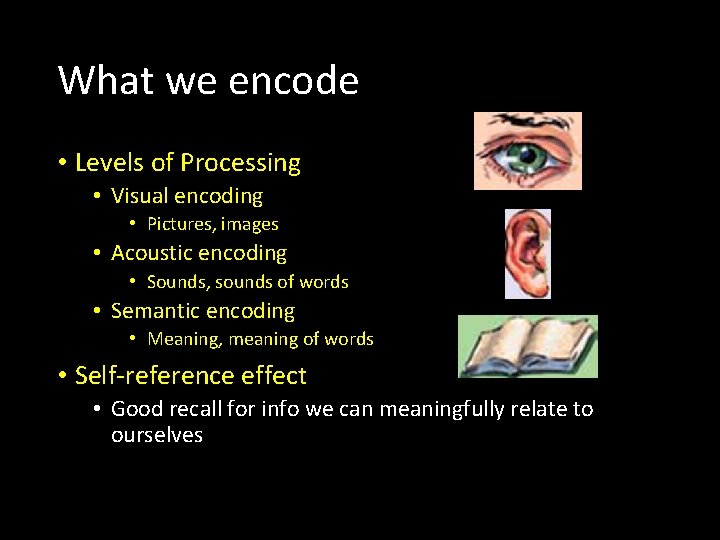 What we encode • Levels of Processing • Visual encoding • Pictures, images •