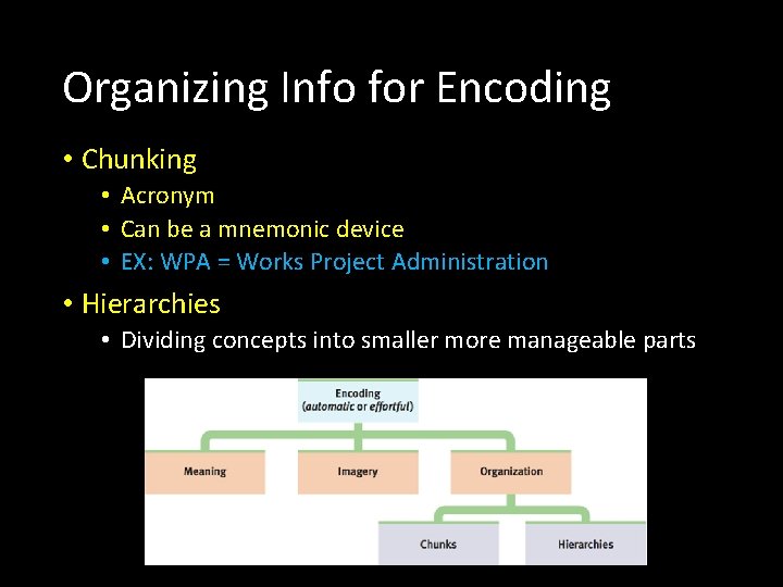 Organizing Info for Encoding • Chunking • Acronym • Can be a mnemonic device