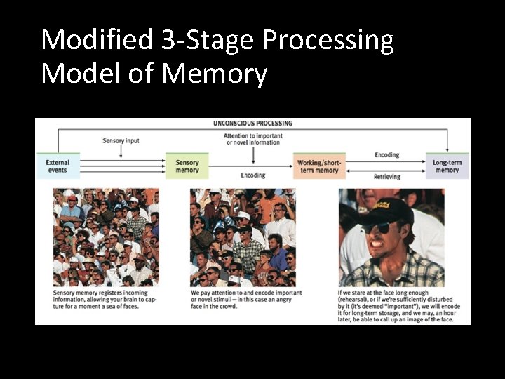 Modified 3 -Stage Processing Model of Memory 