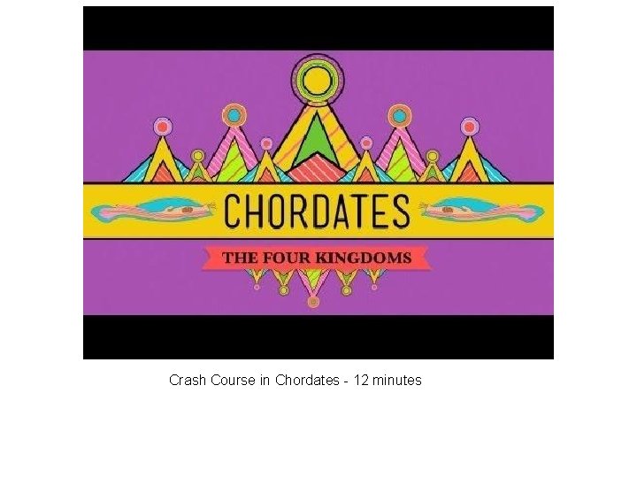 Crash Course in Chordates - 12 minutes 