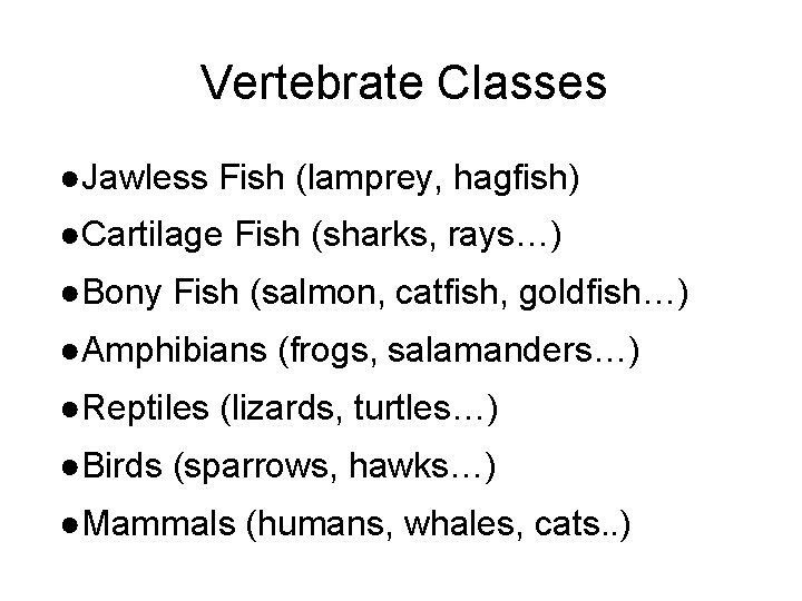 Vertebrate Classes ●Jawless Fish (lamprey, hagfish) ●Cartilage Fish (sharks, rays…) ●Bony Fish (salmon, catfish,