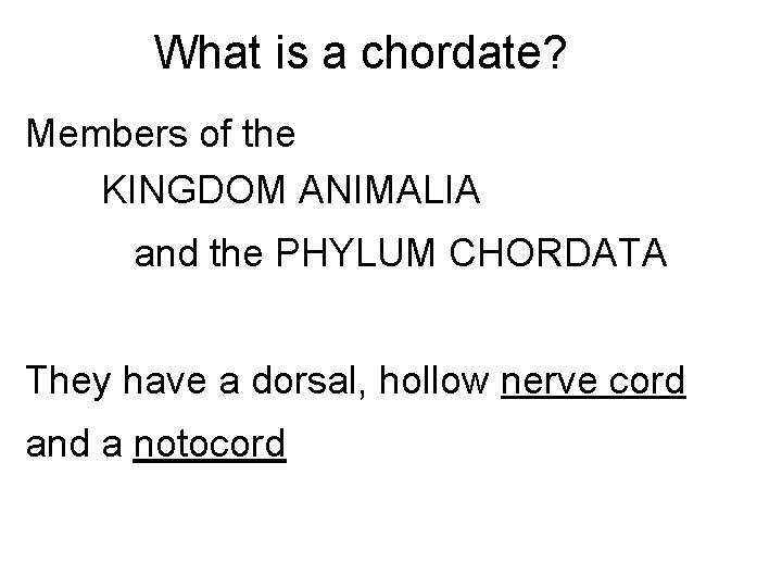What is a chordate? Members of the KINGDOM ANIMALIA and the PHYLUM CHORDATA They