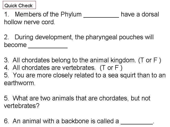 Quick Check 1. Members of the Phylum _____ have a dorsal hollow nerve cord.