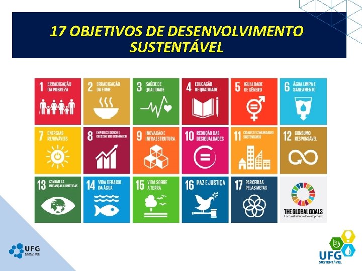 17 OBJETIVOS DE DESENVOLVIMENTO SUSTENTÁVEL 