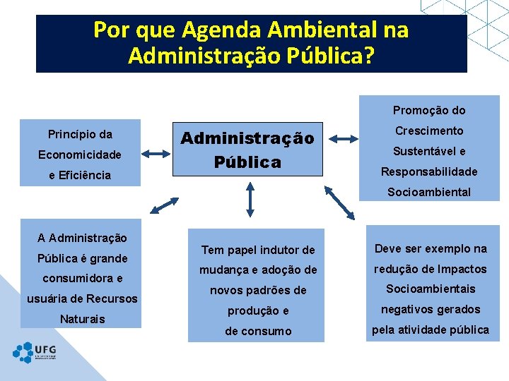 Por que Agenda Ambiental na Administração Pública? Promoção do Princípio da Economicidade e Eficiência