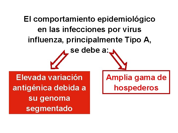 El comportamiento epidemiológico en las infecciones por virus influenza, principalmente Tipo A, se debe