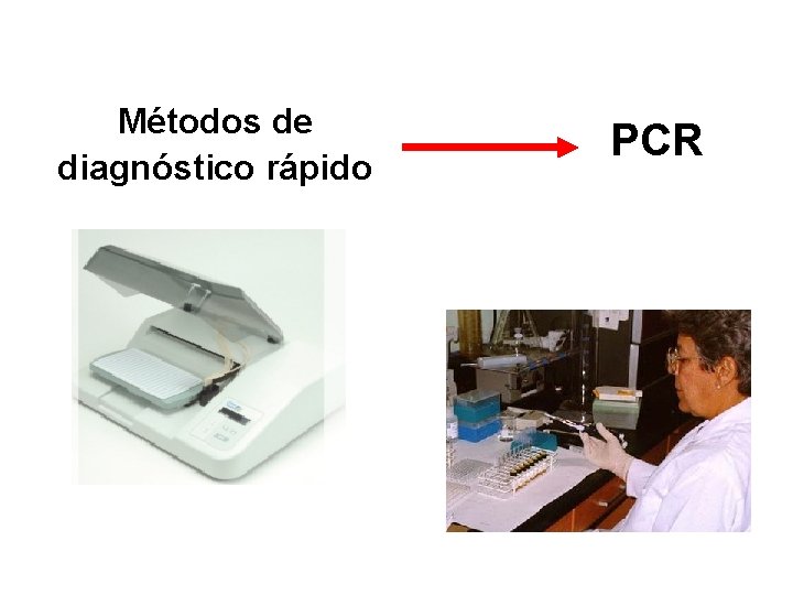 Métodos de diagnóstico rápido PCR 