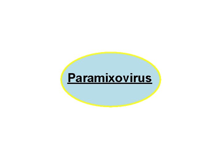 Paramixovirus 