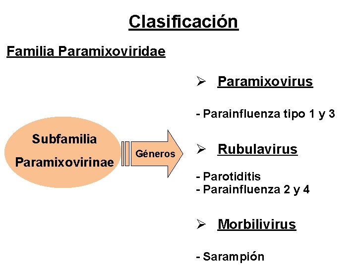Clasificación Familia Paramixoviridae Ø Paramixovirus - Parainfluenza tipo 1 y 3 Subfamilia Paramixovirinae Géneros