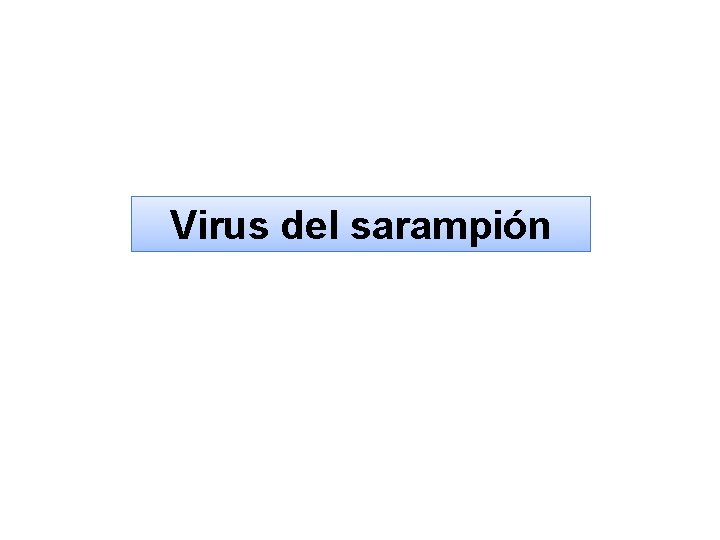 Virus del sarampión 