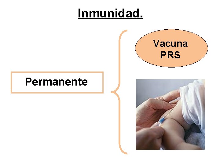 Inmunidad. Vacuna PRS Permanente 