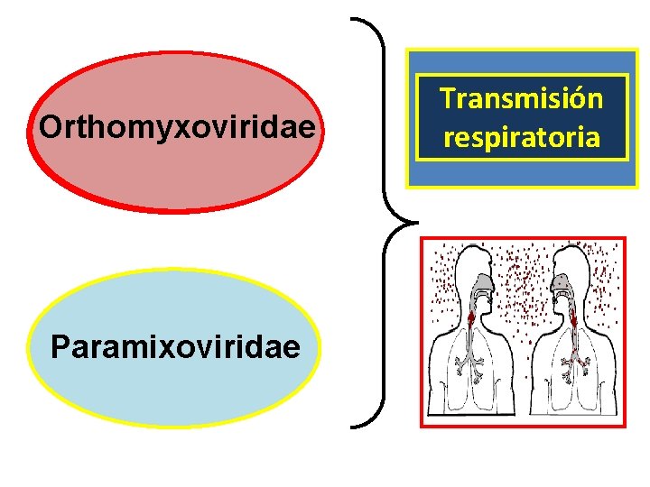 Orthomyxoviridae Paramixoviridae Transmisión respiratoria 