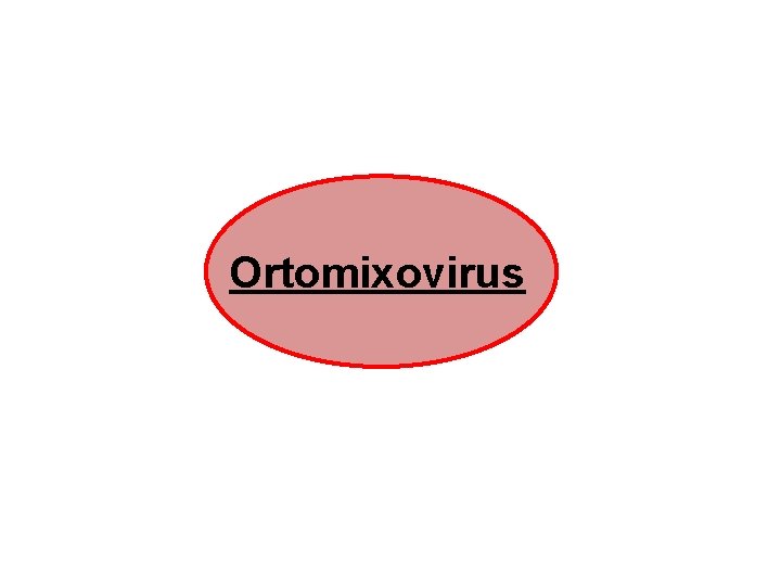 Ortomixovirus 