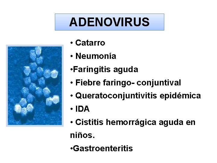 ADENOVIRUS • Catarro • Neumonía • Faringitis aguda • Fiebre faringo- conjuntival • Queratoconjuntivitis