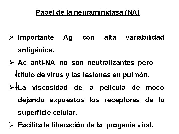 Papel de la neuraminidasa (NA) Ø Importante Ag con alta variabilidad antigénica. Ø Ac