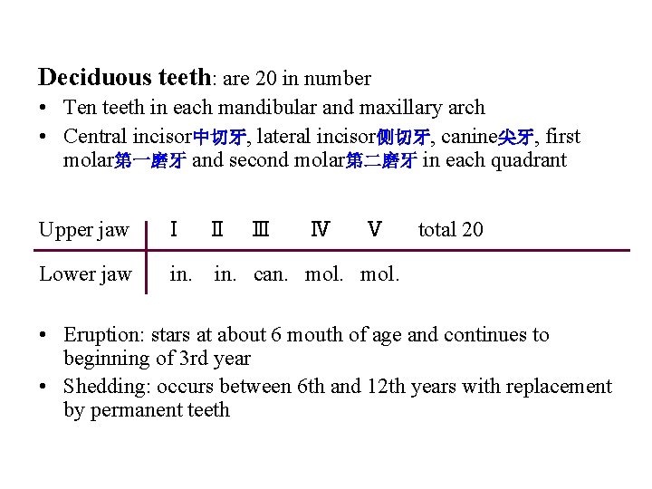 Deciduous teeth: are 20 in number • Ten teeth in each mandibular and maxillary Deciduous teeth: are 20 in number • Ten teeth in each mandibular and maxillary