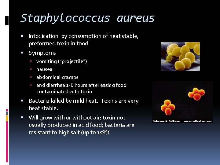 Staphylococcus aureus Intoxication by consumption of heat stable, preformed toxin in food Symptoms vomiting