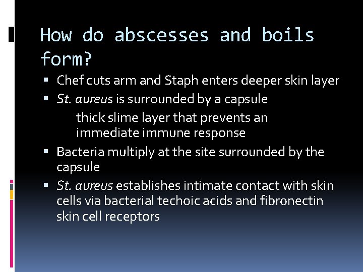 How do abscesses and boils form? Chef cuts arm and Staph enters deeper skin