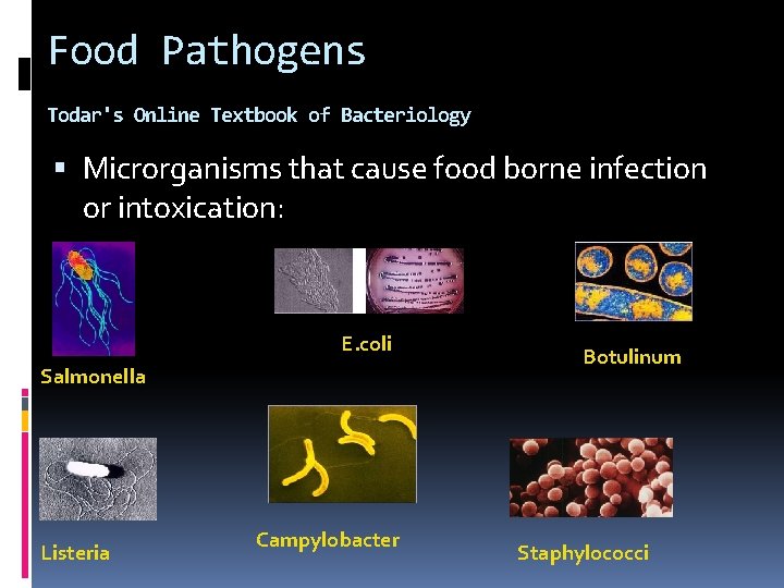 Food Pathogens www. textbookofbacteriology. net Todar's Online Textbook of Bacteriology Microrganisms that cause food