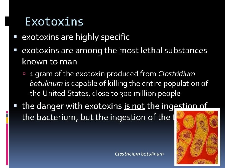 Exotoxins exotoxins are highly specific exotoxins are among the most lethal substances known to