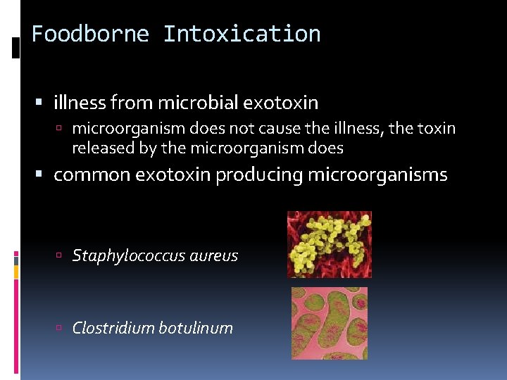 Foodborne Intoxication illness from microbial exotoxin microorganism does not cause the illness, the toxin