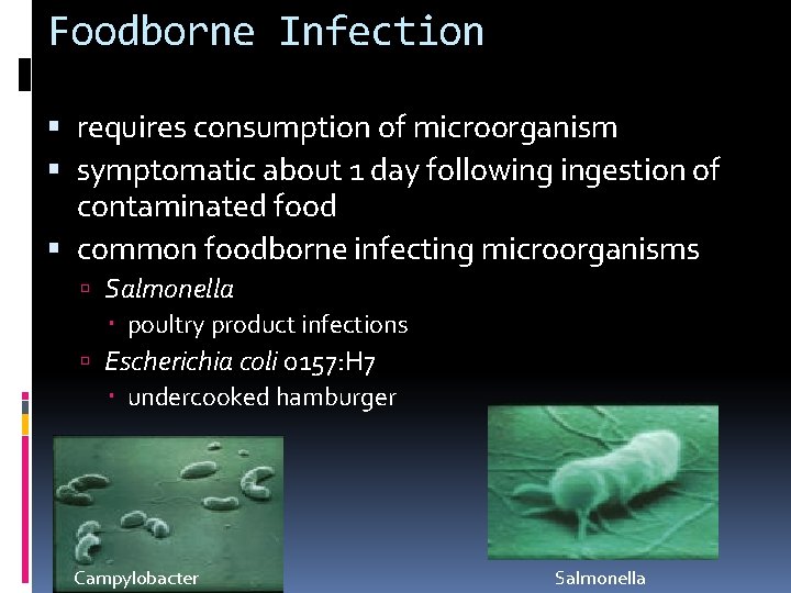 Foodborne Infection requires consumption of microorganism symptomatic about 1 day following ingestion of contaminated