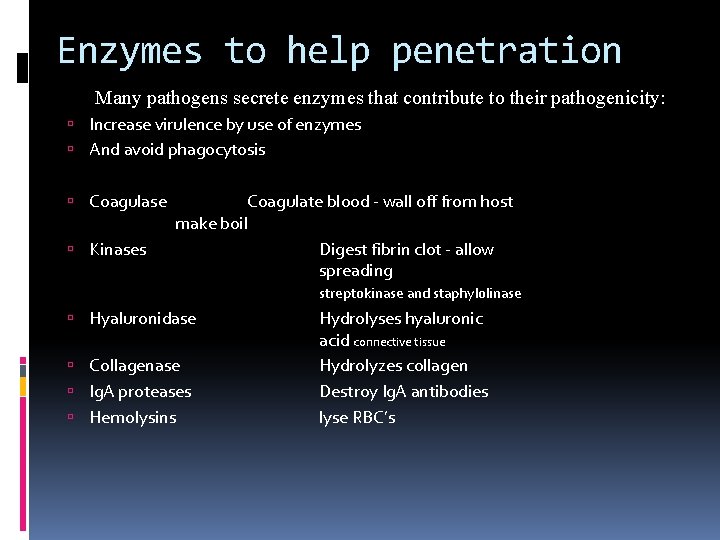 Enzymes to help penetration Many pathogens secrete enzymes that contribute to their pathogenicity: Increase