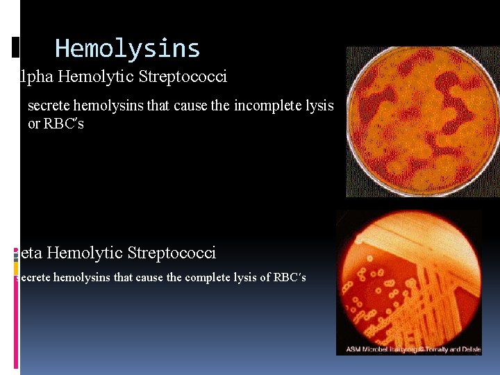 Hemolysins Alpha Hemolytic Streptococci - secrete hemolysins that cause the incomplete lysis or RBC’s