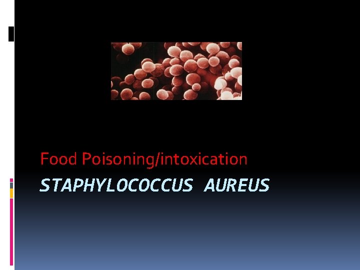 Food Poisoning/intoxication STAPHYLOCOCCUS AUREUS 