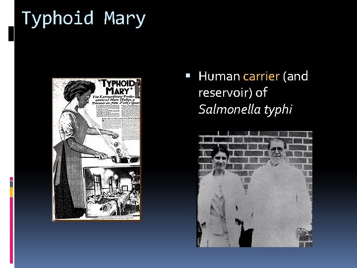 Typhoid Mary Human carrier (and reservoir) of Salmonella typhi 