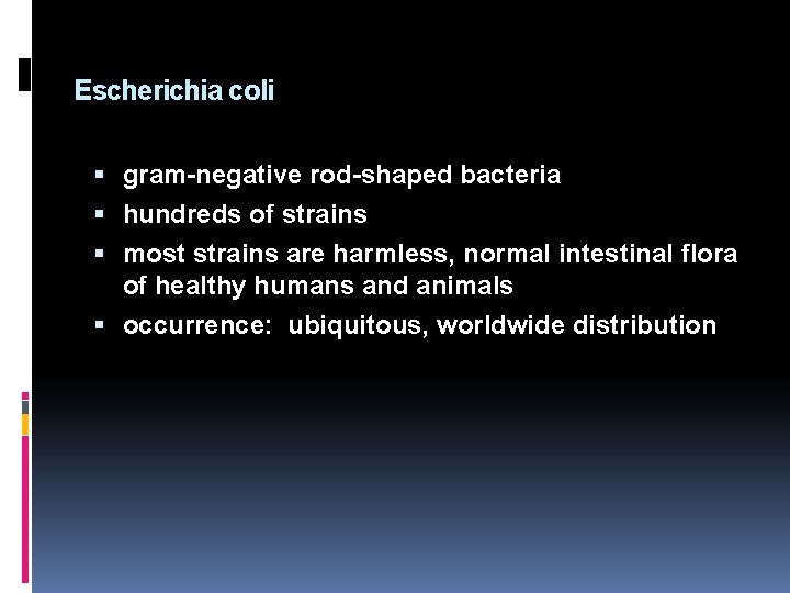 Escherichia coli gram-negative rod-shaped bacteria hundreds of strains most strains are harmless, normal intestinal