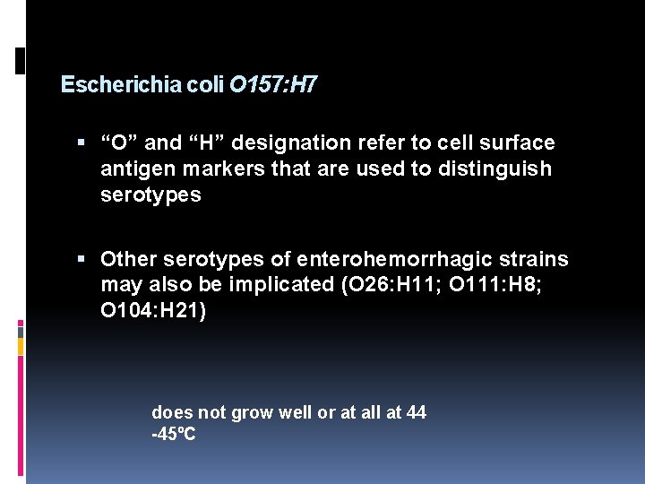 Escherichia coli O 157: H 7 “O” and “H” designation refer to cell surface