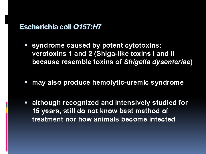 Escherichia coli O 157: H 7 syndrome caused by potent cytotoxins: verotoxins 1 and