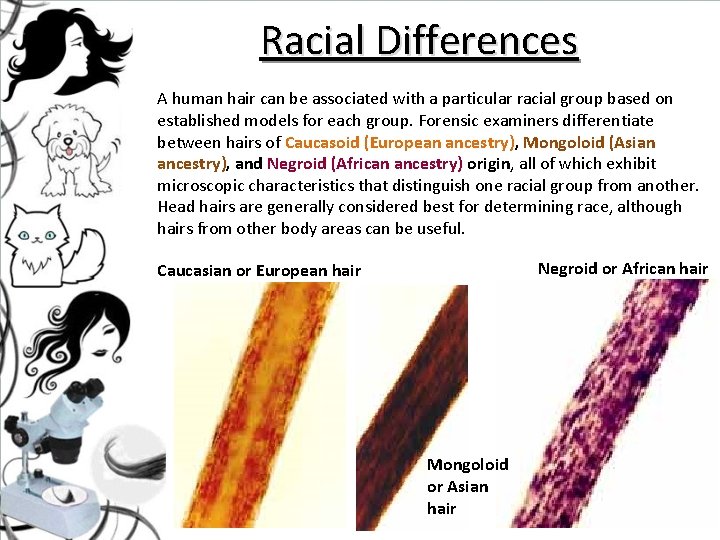 Racial Differences A human hair can be associated with a particular racial group based Racial Differences A human hair can be associated with a particular racial group based