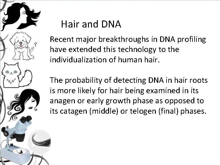 Hair and DNA Recent major breakthroughs in DNA profiling have extended this technology to Hair and DNA Recent major breakthroughs in DNA profiling have extended this technology to