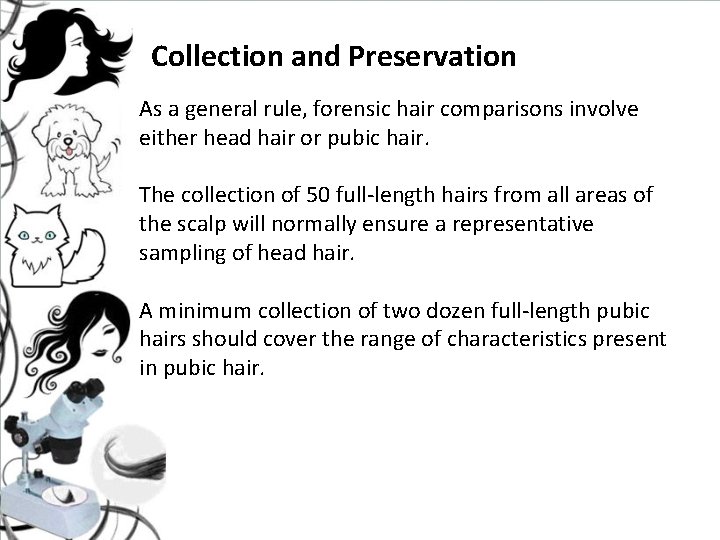 Collection and Preservation As a general rule, forensic hair comparisons involve either head hair Collection and Preservation As a general rule, forensic hair comparisons involve either head hair