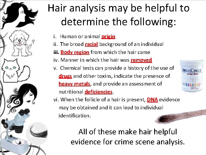Hair analysis may be helpful to determine the following: i. Human or animal origin Hair analysis may be helpful to determine the following: i. Human or animal origin